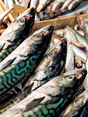 Oily Fish, the Bounty of Sicily