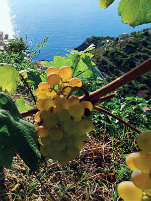  Cinque Terre, a UNESCO World Heritage Site