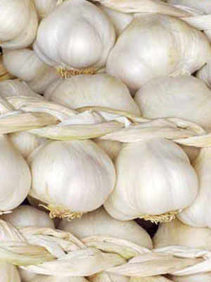 Polesine White Garlic: A Cure-All